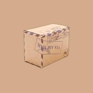 Custom Design Kraft Packaging Box