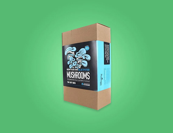 Mushroom Boxes Free Design | Mushroom Boxes Free Shipping |  Mushroom Boxes Bulk Quantity | Mushroom Boxes No Minimum